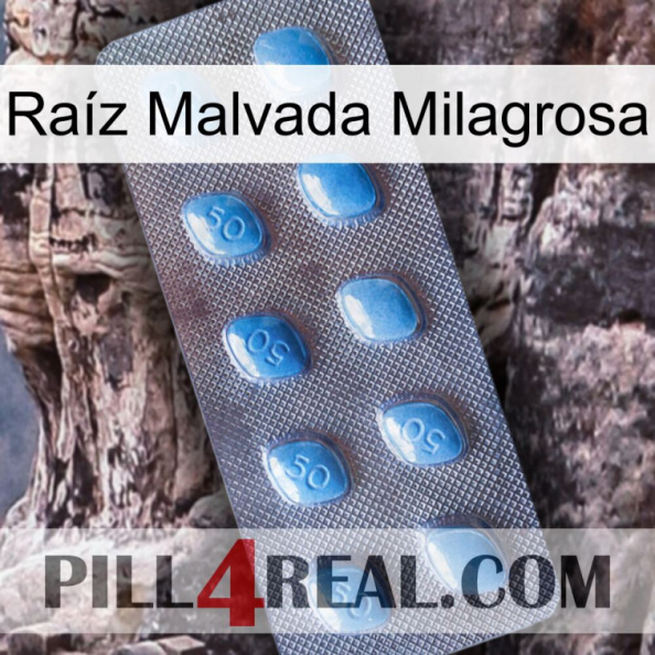 Raíz Malvada Milagrosa viagra3.jpg